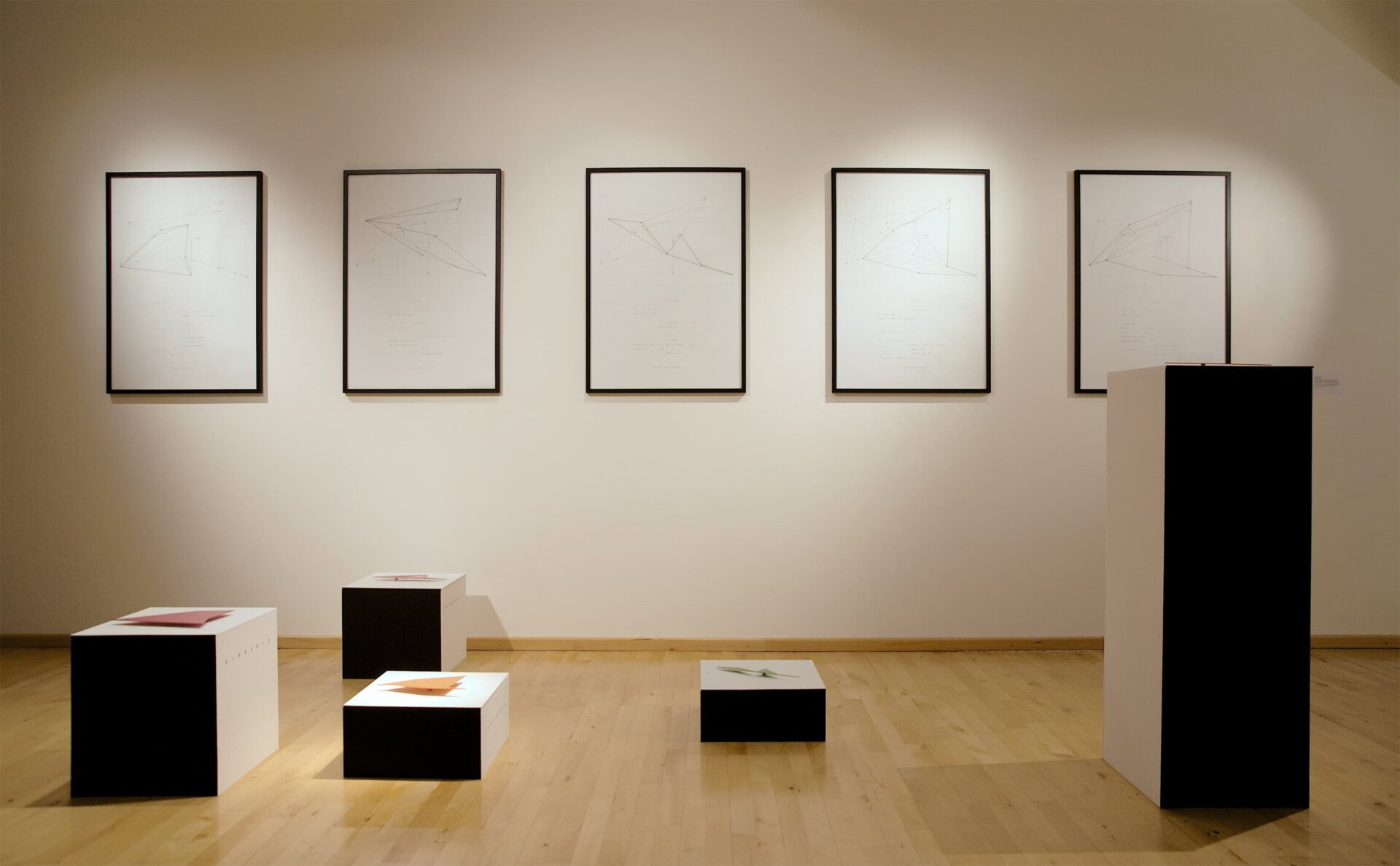 Art installation by artist Patricia Sandonis, five sculptures on five pedestals and five framed drawings on a wall