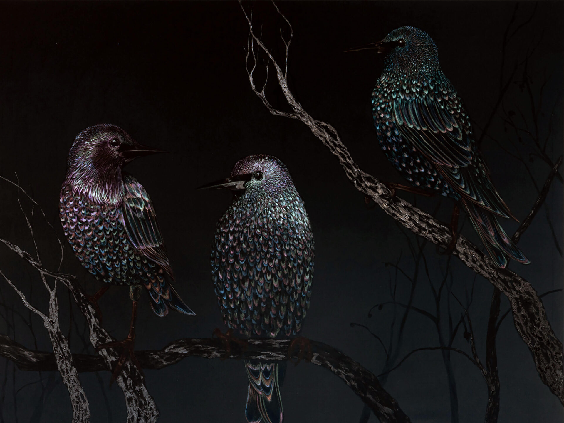 Black painting of three starling birds sitting on a tree by artist Patricia Sandonis