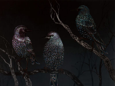 Black painting of three starling birds sitting on a tree by artist Patricia Sandonis