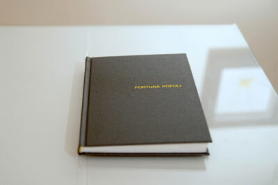 Patricia Sandonis artist book, Fortuna Populi, digital drawings on paper