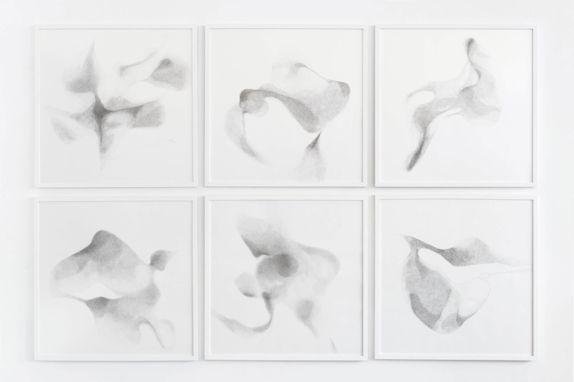 Six drawings on white paper called Uncertainty in Consensus by artist Patricia Sandonis