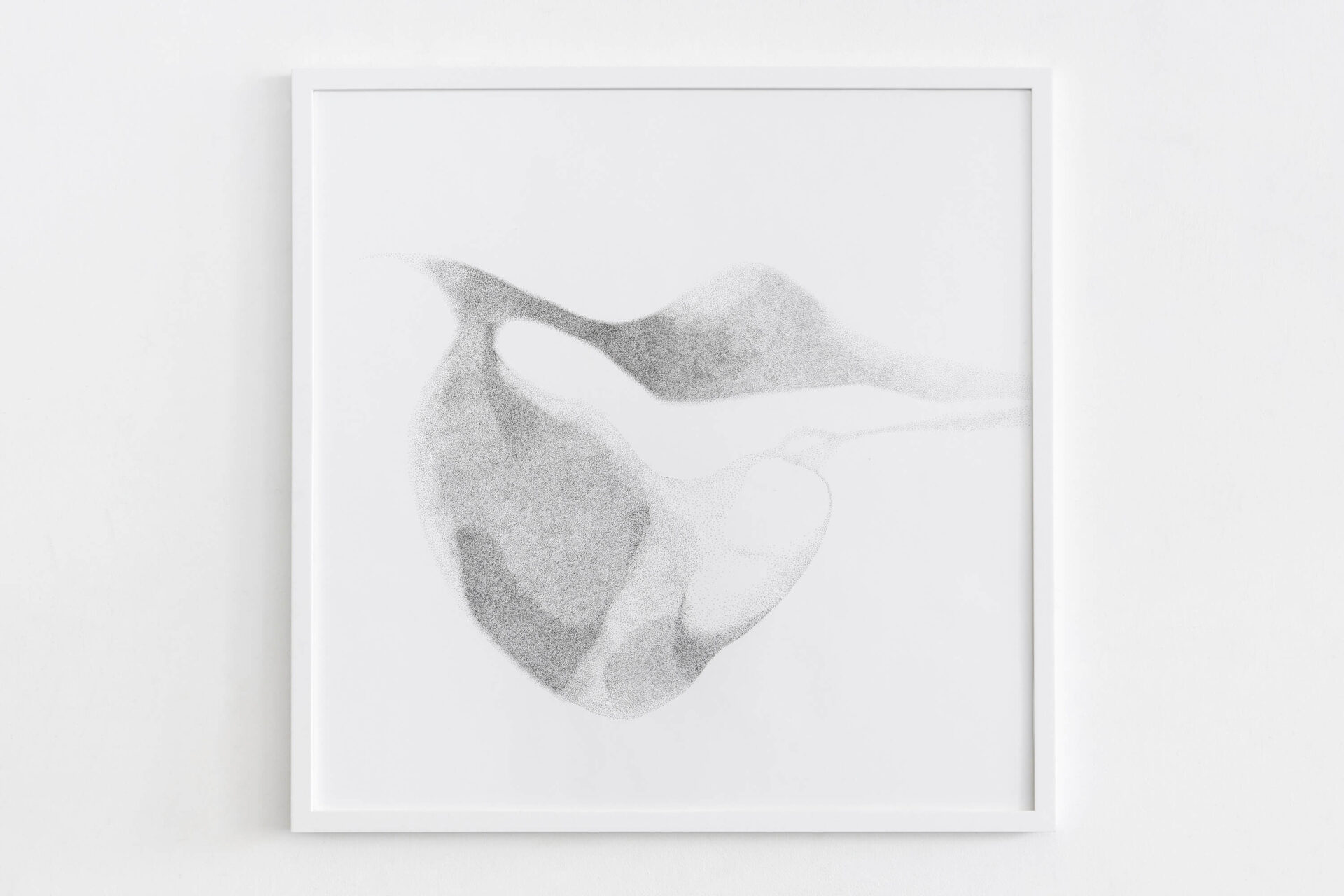 Drawing black and white on paper called Uncertainty in Consensus by artist Patricia Sandonis