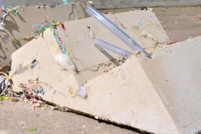 Detail from the sculptural art installation Hard Core, Soft Edges by artists Patricia Sandonis and Jelena Fuzinato at Bärenzwinger, Berlin
