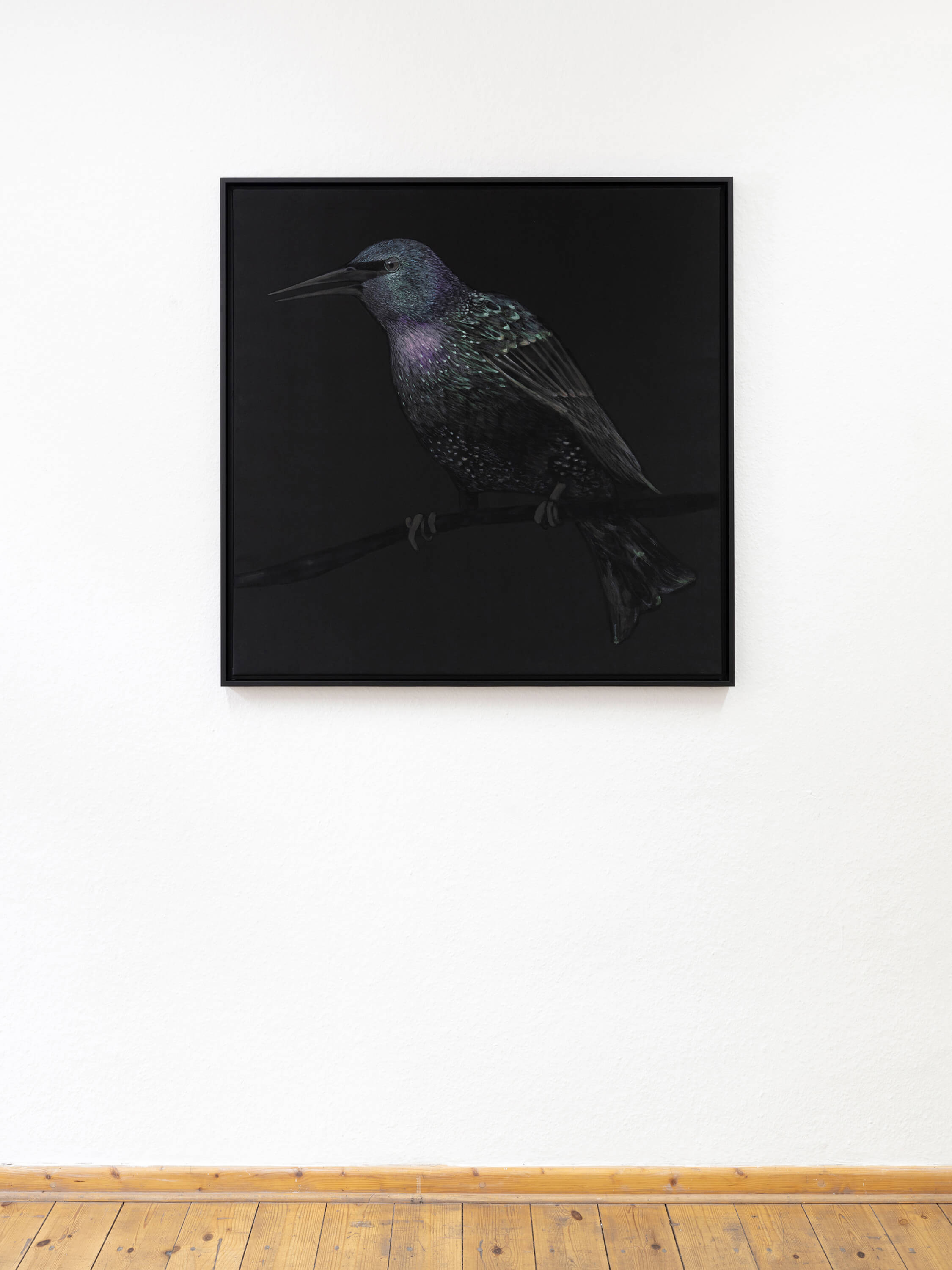 Black painting of a starling bird by artist Patricia Sandonis
